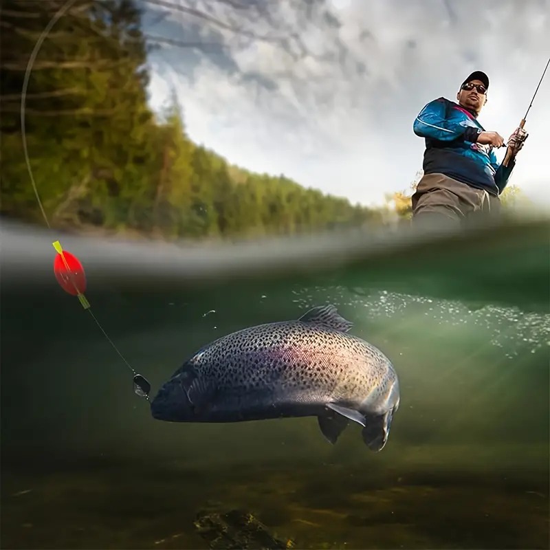 Premium 4 Colors Fly Fishing K - Fly Fishing Set บทวิจารณ์และราคา