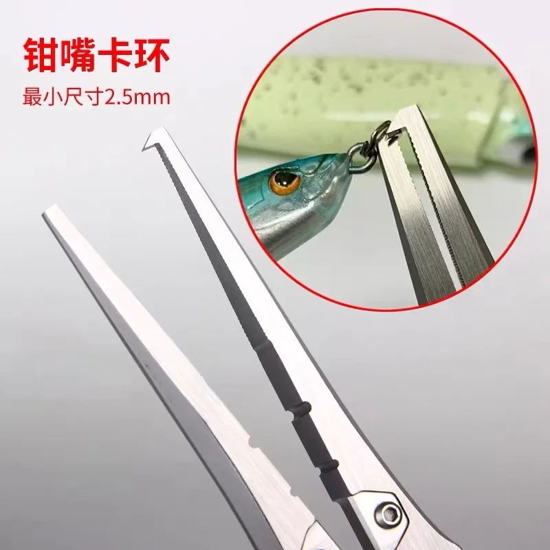 BOTR-High Precision Titanium F - Fishing Equipment Basics บทวิจารณ์และราคา