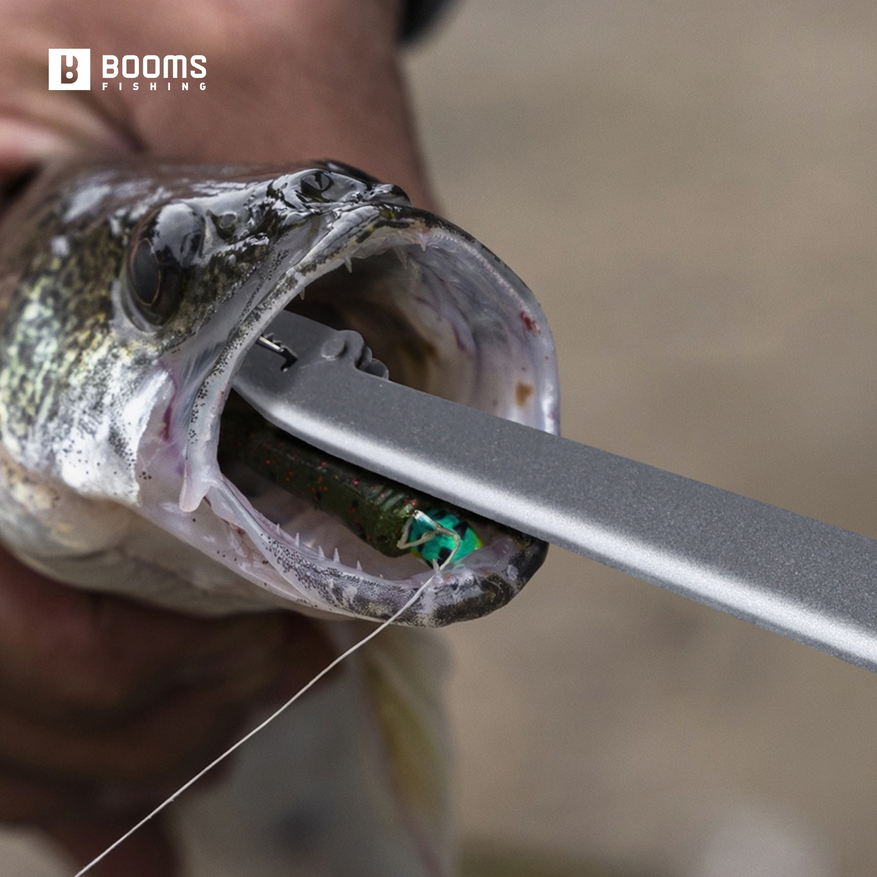 Booms Fishing 25cm Carbon Stee - Fishing Equipment Warehouse บทวิจารณ์และราคา