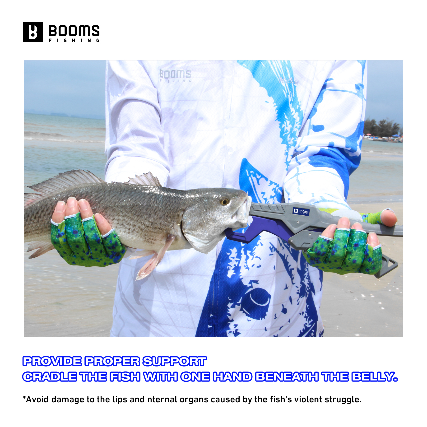 Booms Fishing 23cm Pliers and  - Fishing Equipment Warehouse บทวิจารณ์และราคา